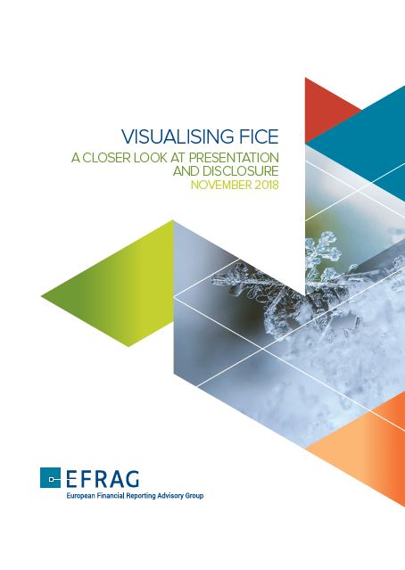 Cover FICE Presentation bulletin.JPG